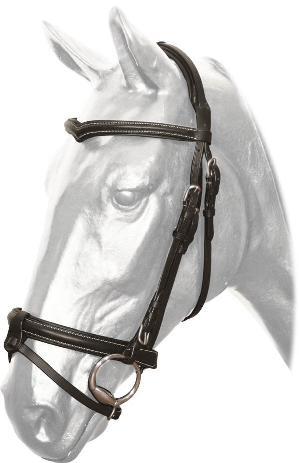 English Bridle