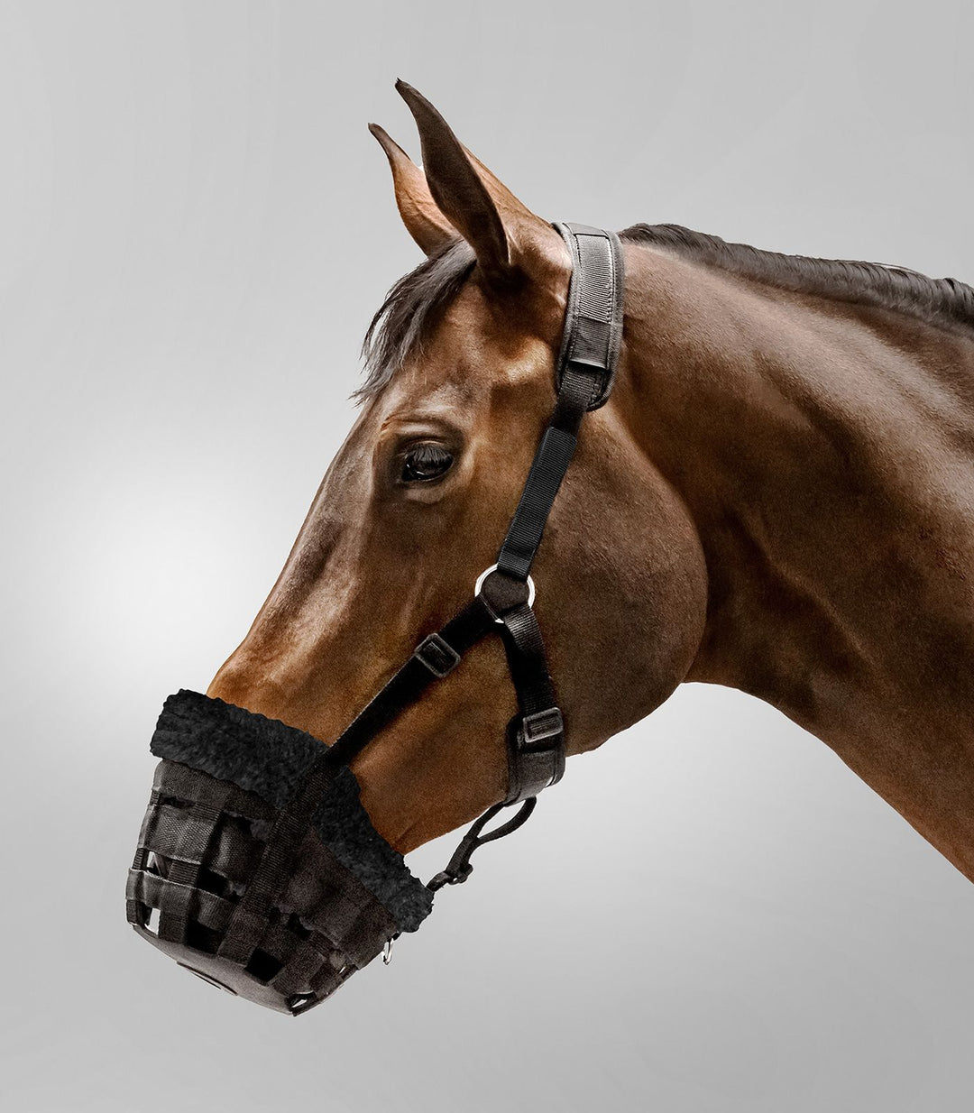 Comfort muzzle
