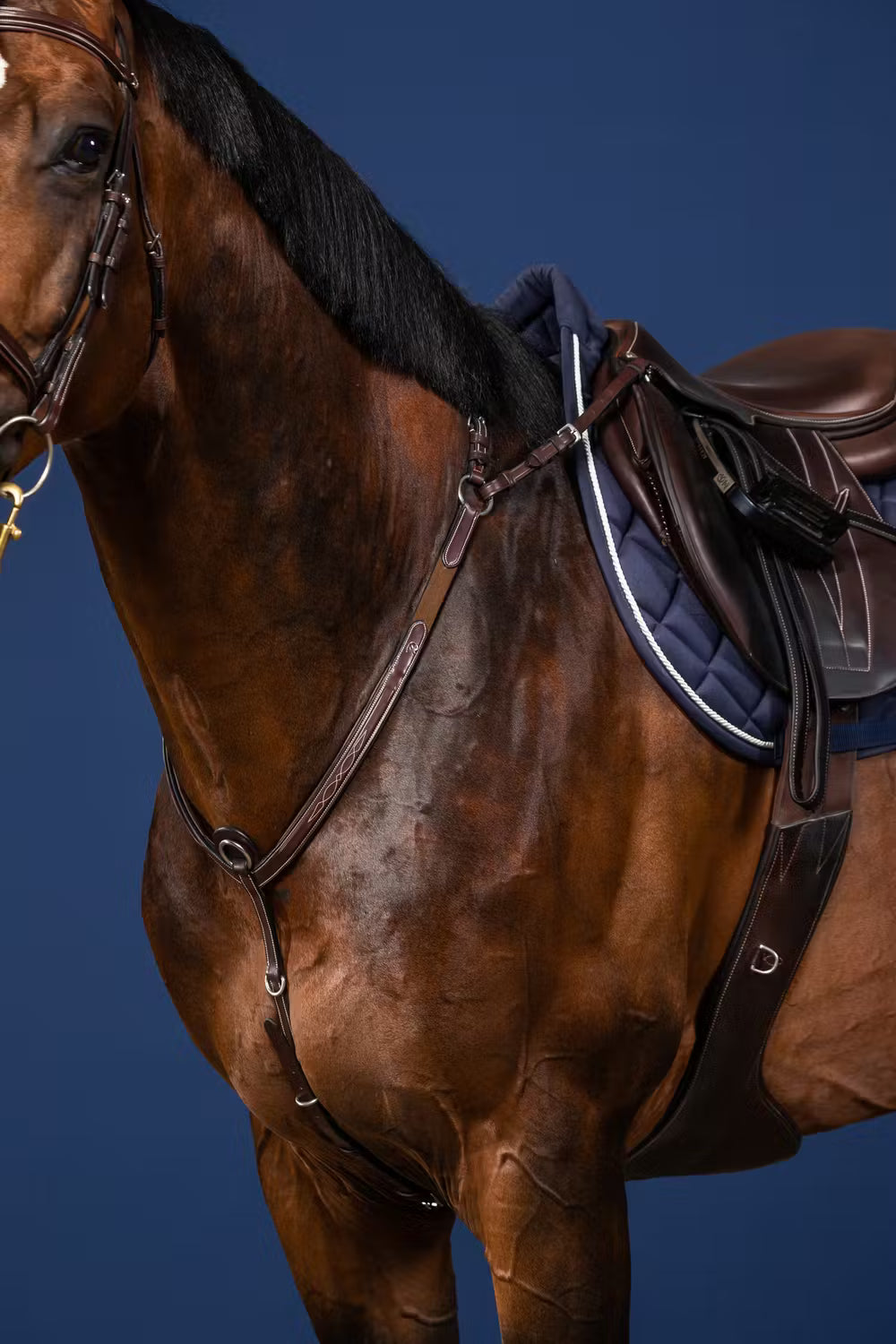 Bridge Breastplate