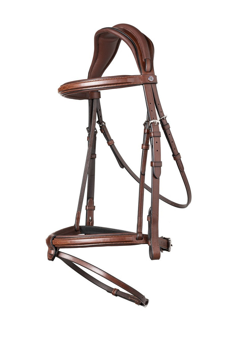 Geneva Comb.noseband bridle