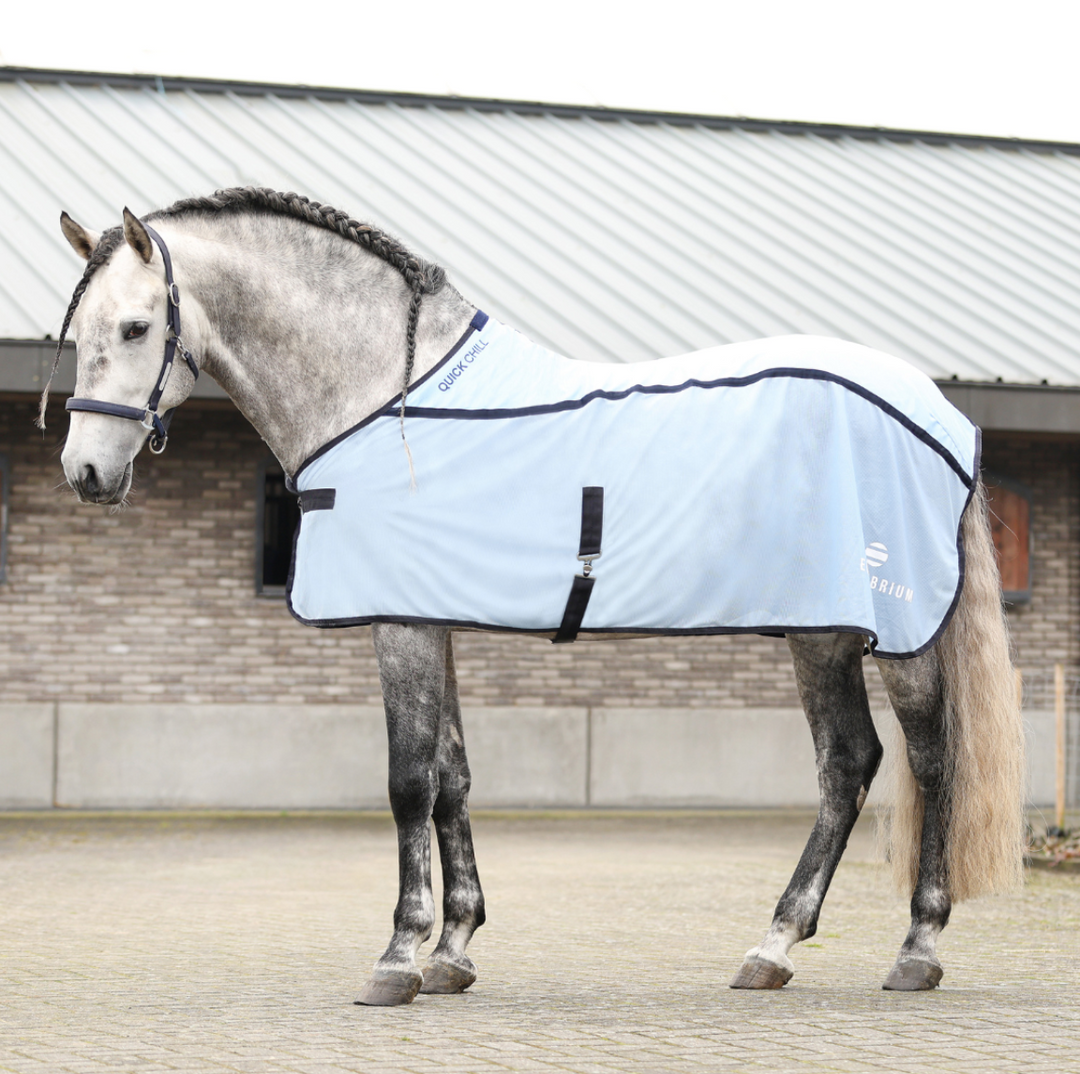 Quick chill cooling blanket