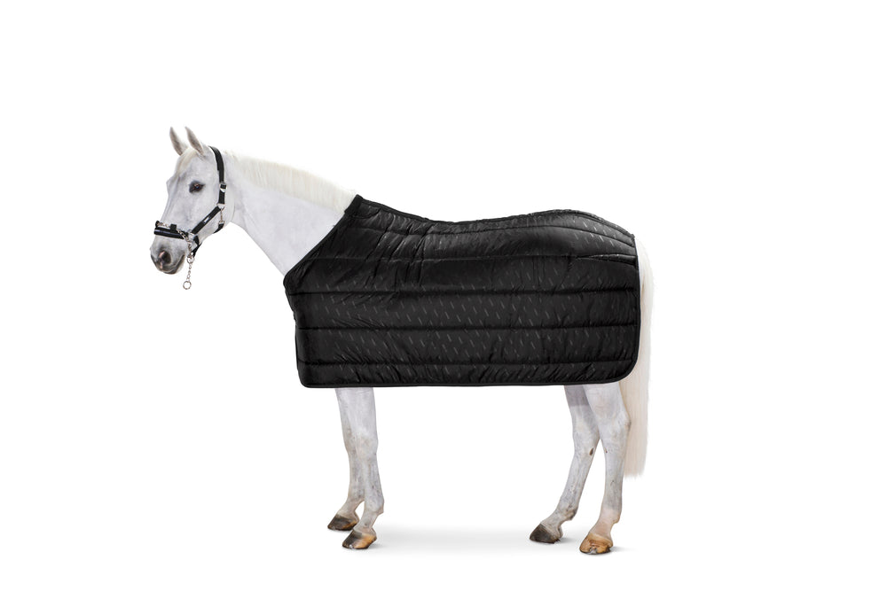 THERMO POLY 220 rug