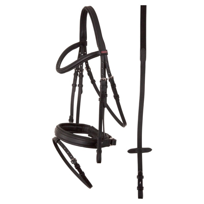 Toulon bridle