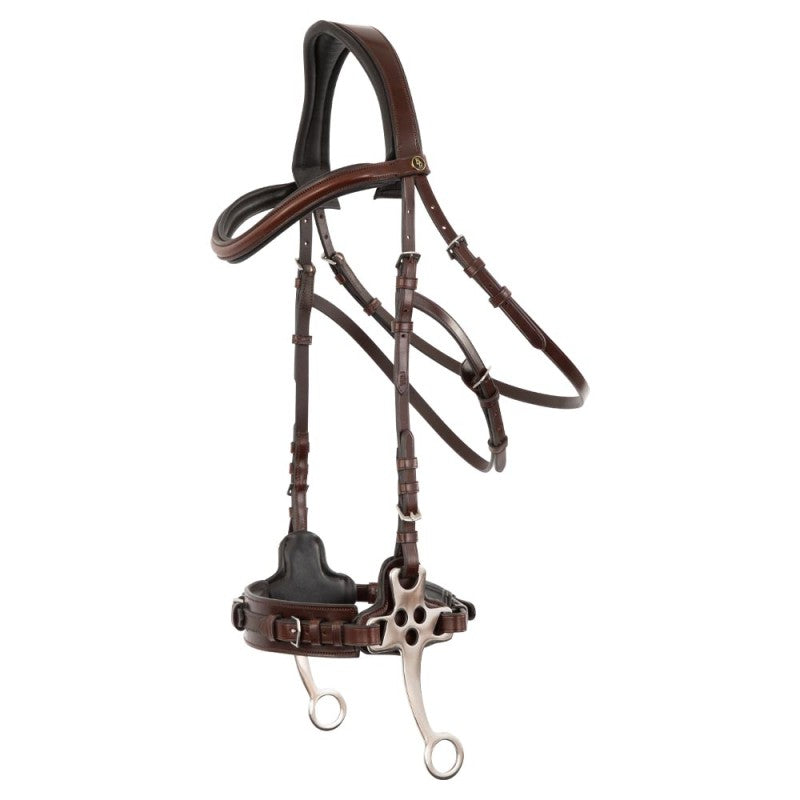 Lydney bridle