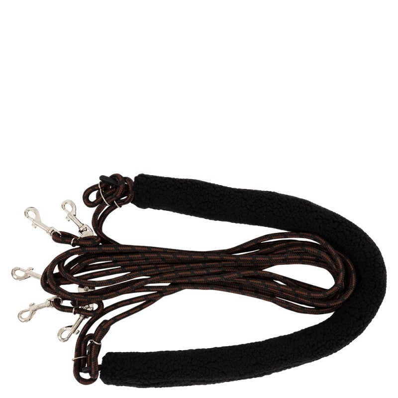 Pessoa lunging aid