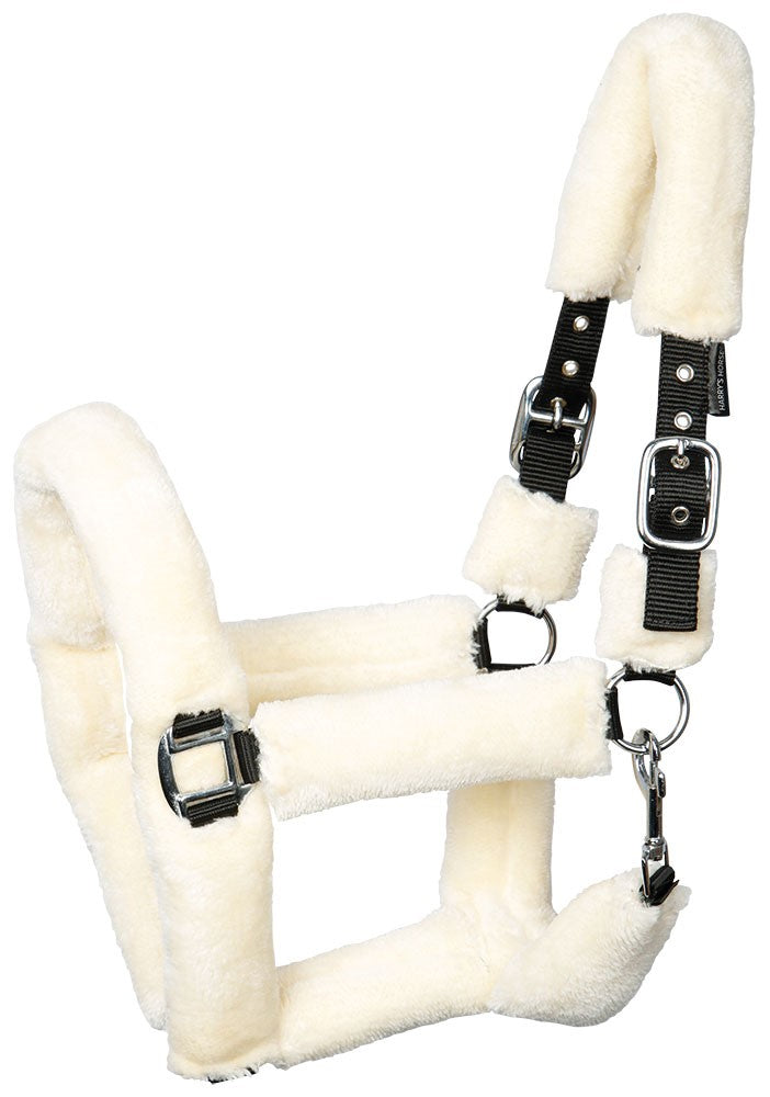 Teddy halter