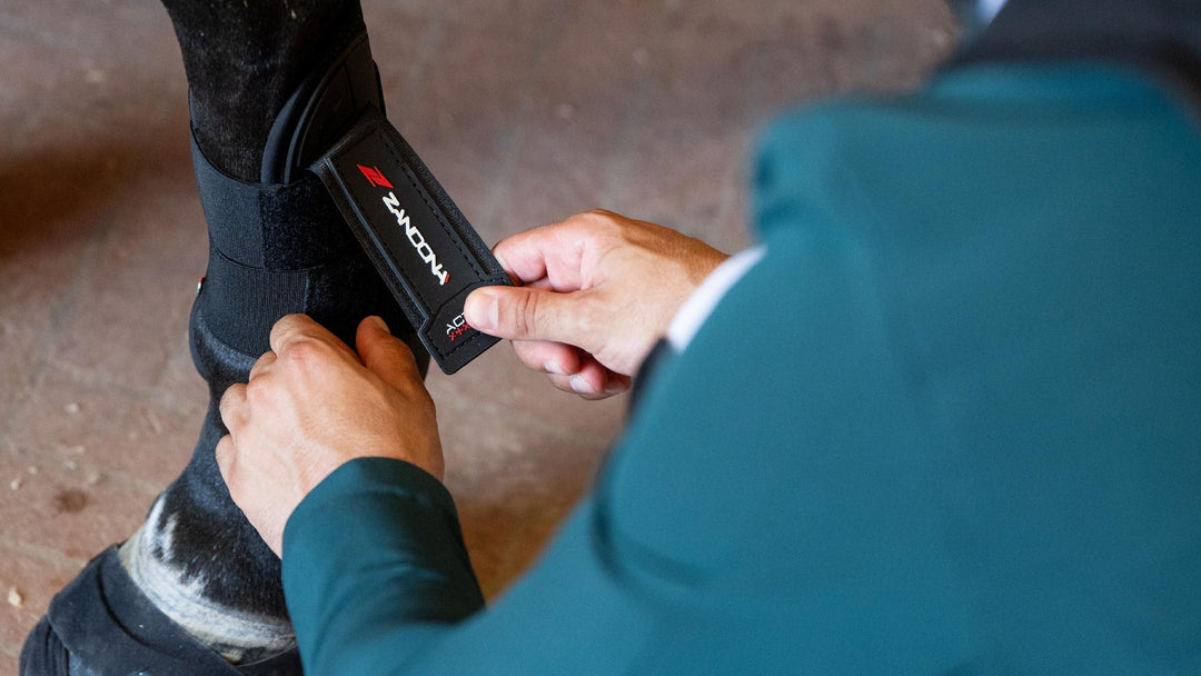 Rider fastening a Zandona tendon boot on a horse's foreleg