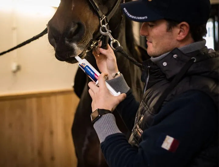 Rider giving a Cavalor An Energy Boost oral syringe to a horse in the stable