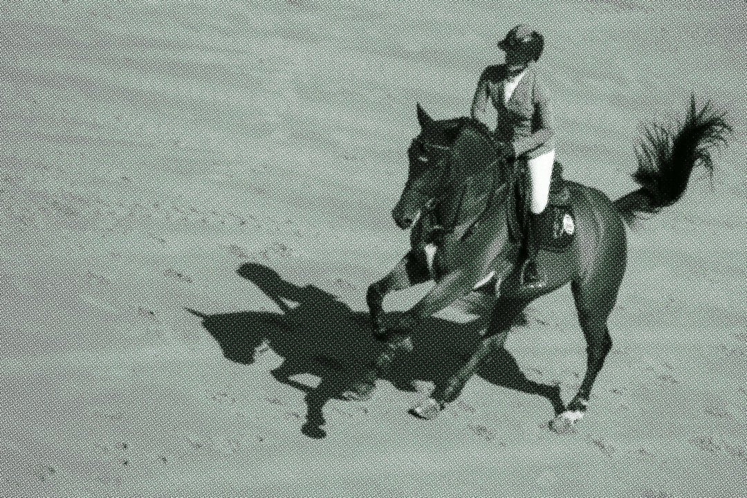 First Time Horse Riding Tips: What You Need to Know