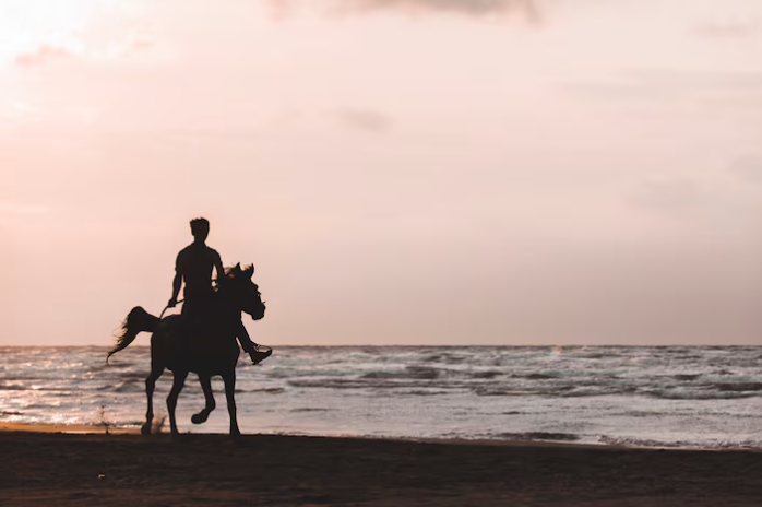 Rider on horseback on the beach at sunset