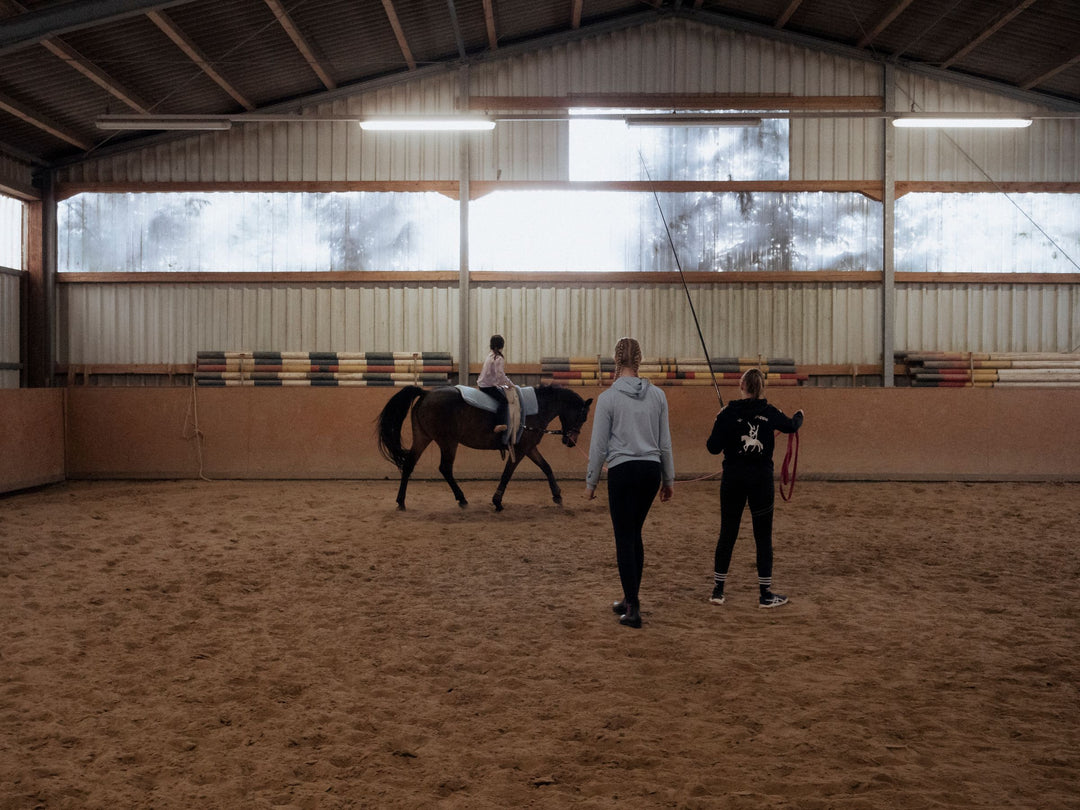Horse riding lesson in a covered arena: a rider on a dark horse with two instructors on the sand