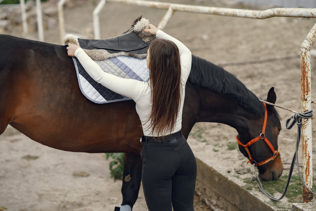 Horse Rider Clothes vs. Regular Activewear: What’s Better?