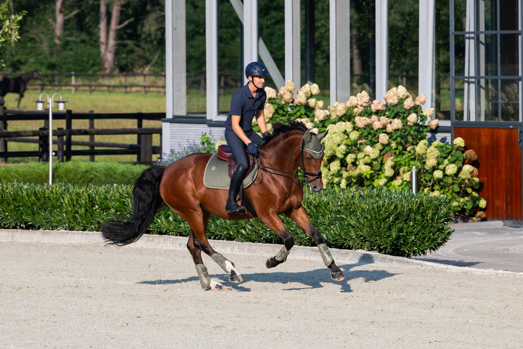 Rider cantering a bay horse along a fenced path