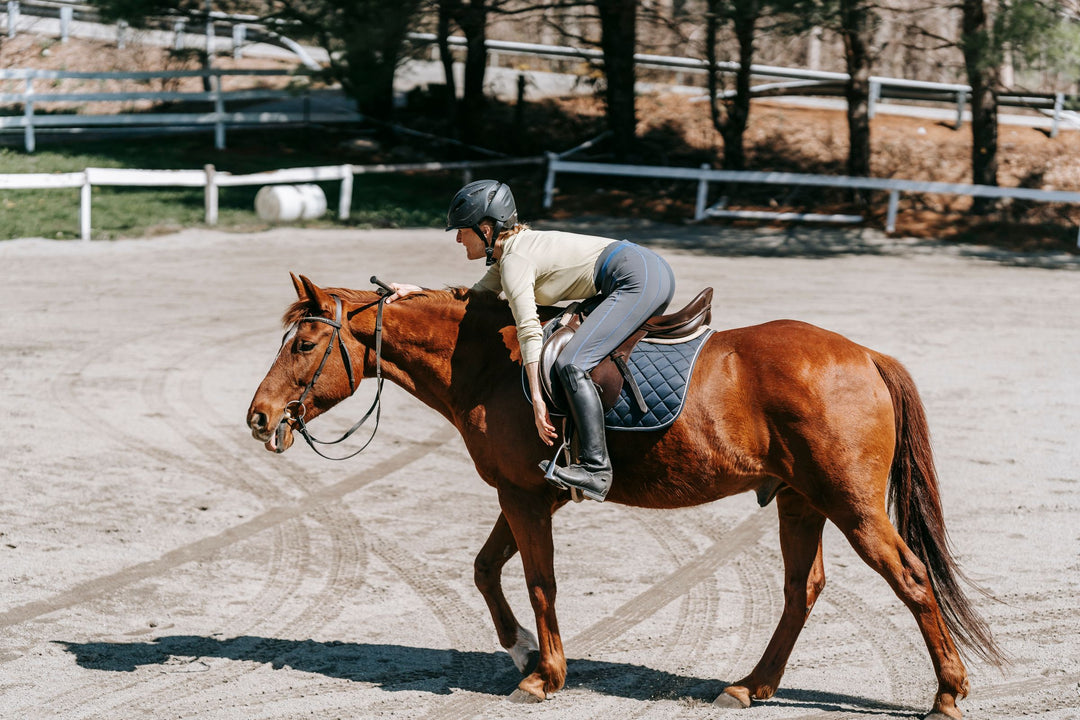 Beginner rider walking a chestnut horse in a fenced sand arena