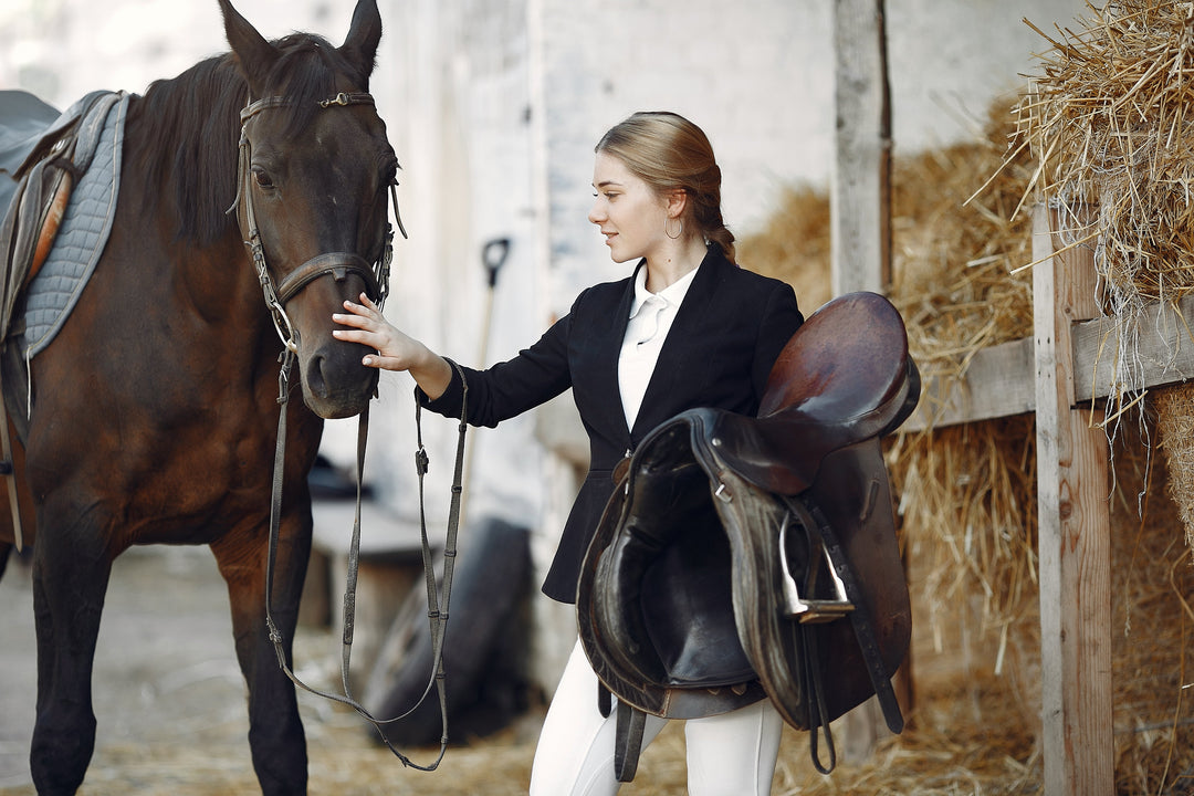 Horse Riding Clubs in Riyadh: Where to Learn &amp; Ride