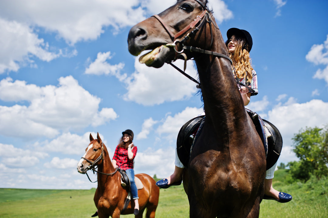 2 girls on 2 horses in a parc with good weather