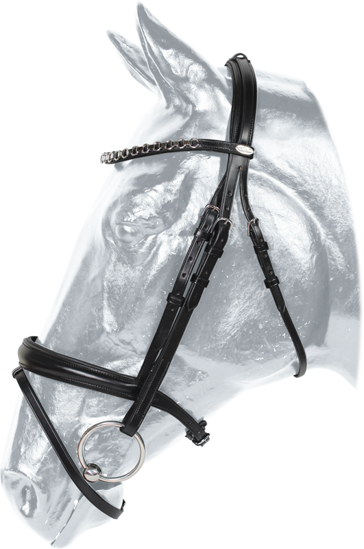 Columbia bridle