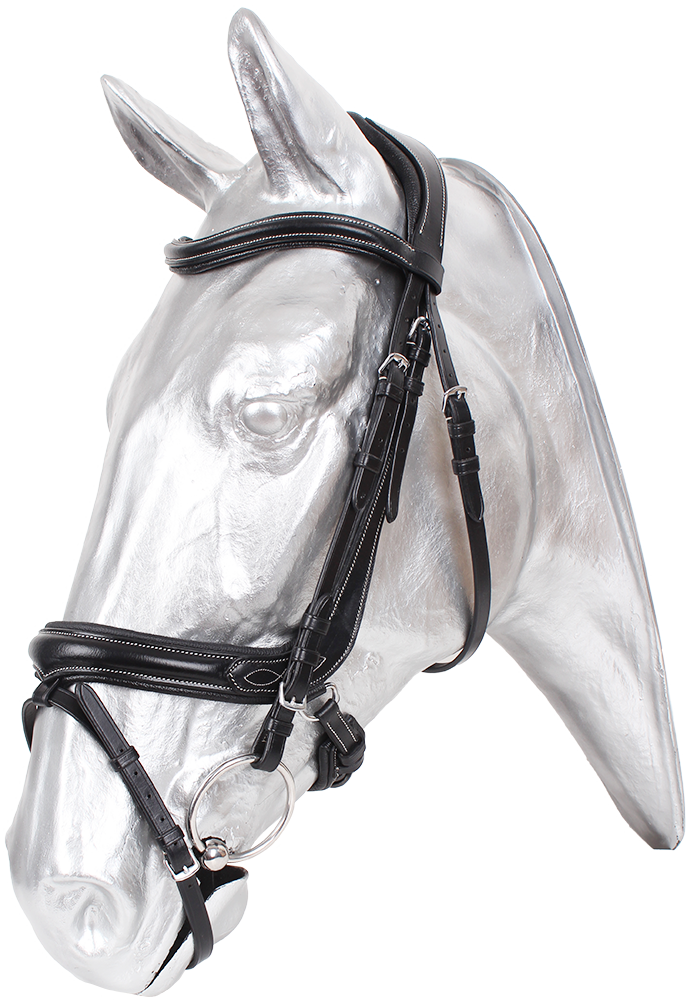 Anatomical bridle