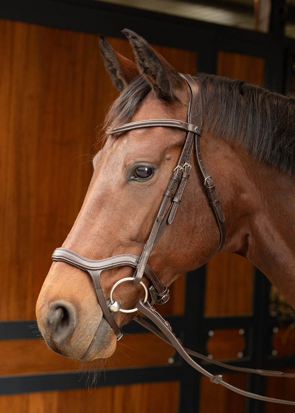 Anatomic bridle