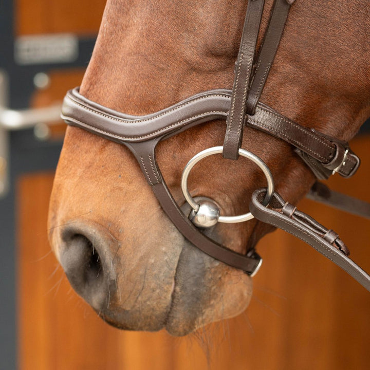 Anatomic bridle