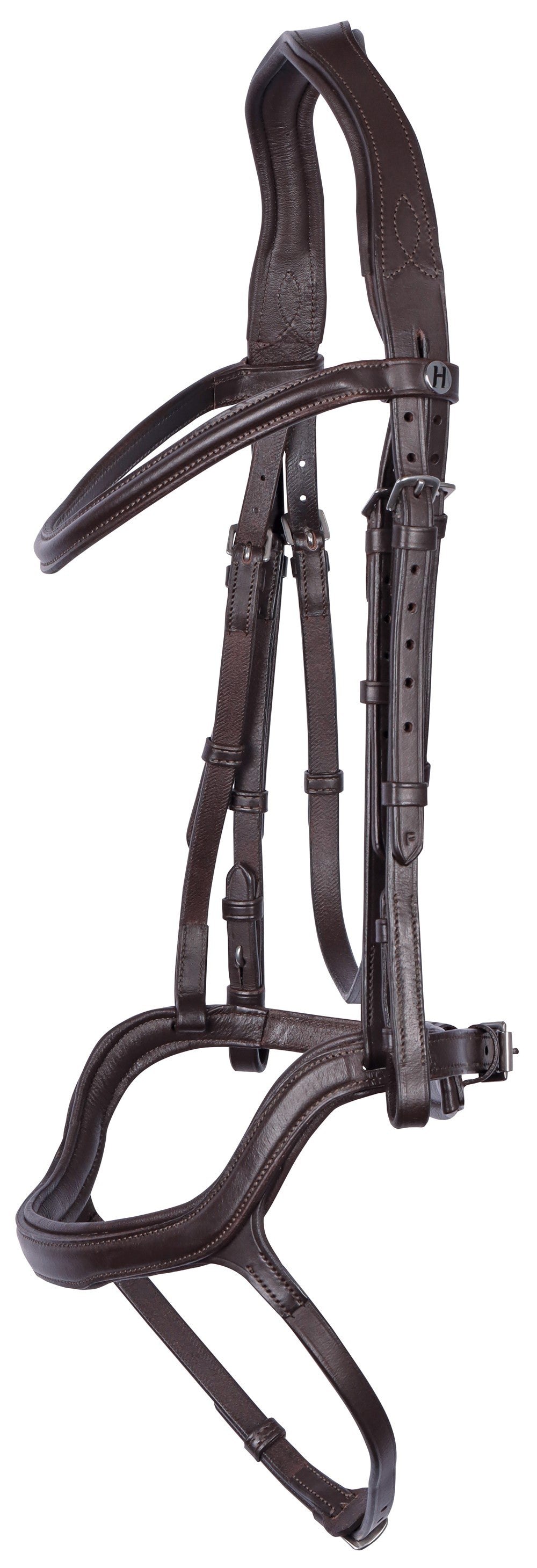 Anatomic bridle