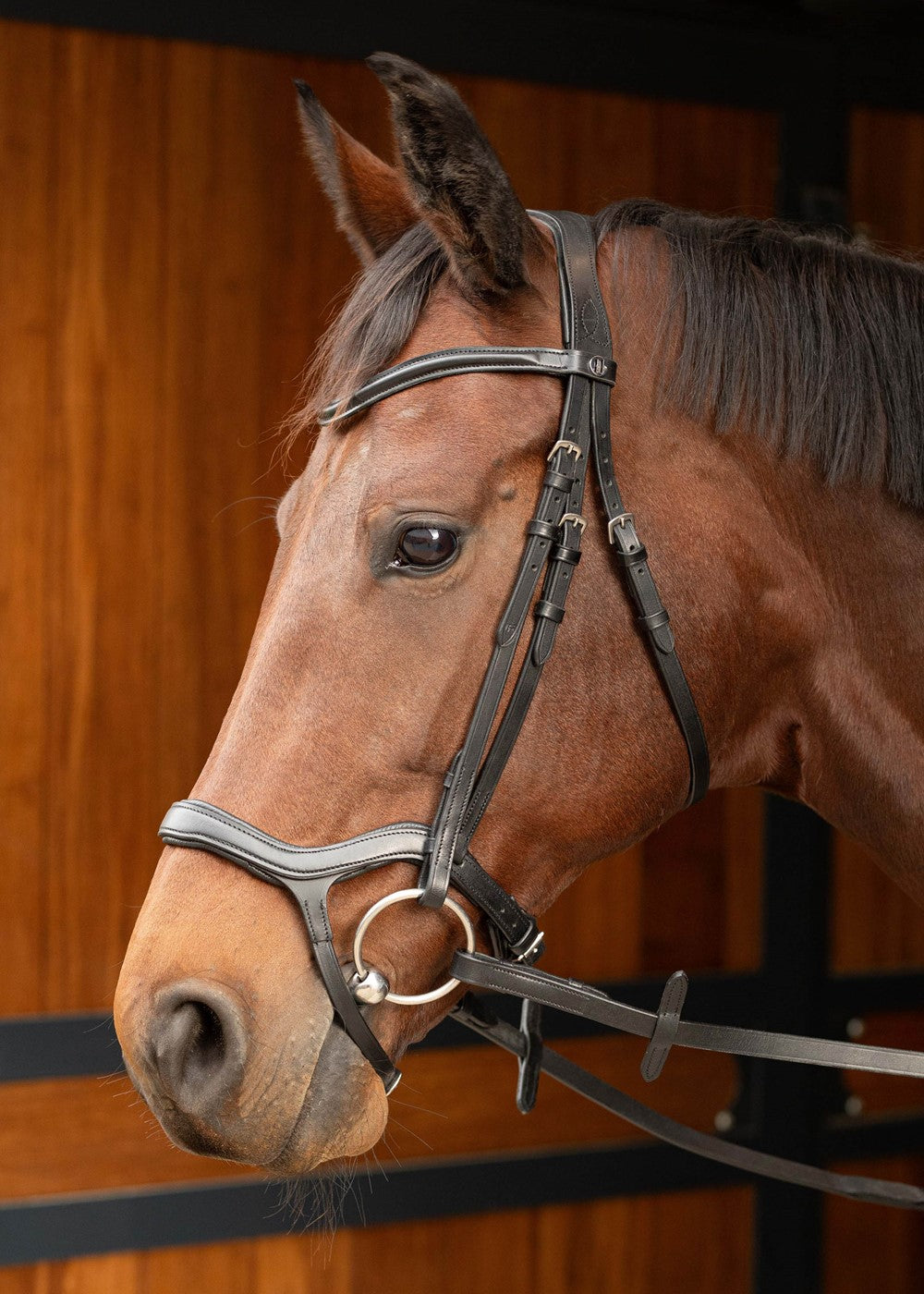 Anatomic bridle