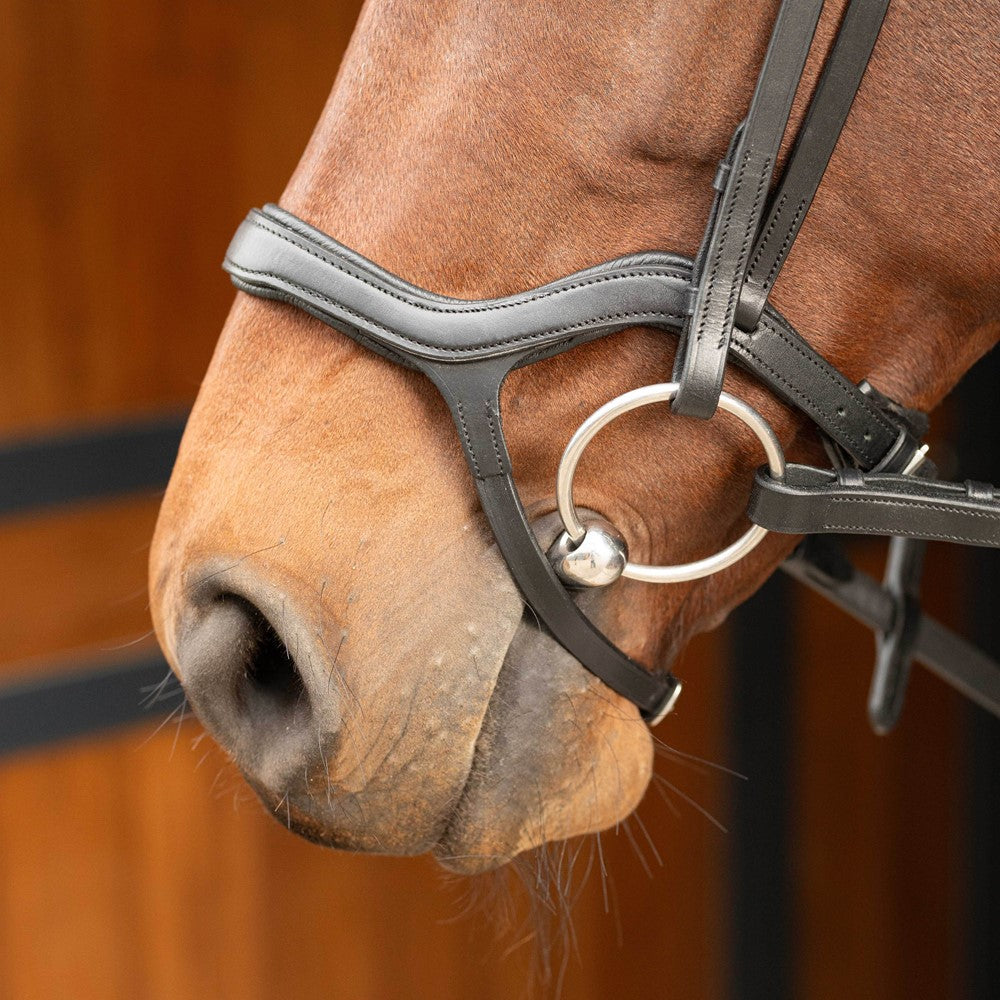 Anatomic bridle