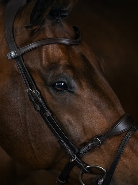 Bridle, Mary Lou by Henrik von Eckermann