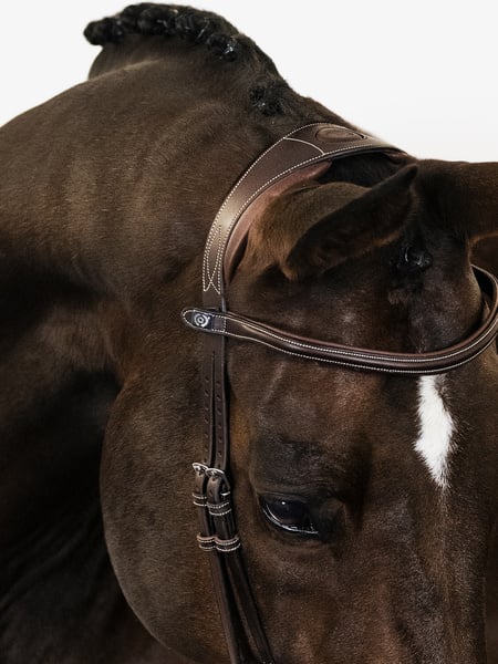 Bridle Paris