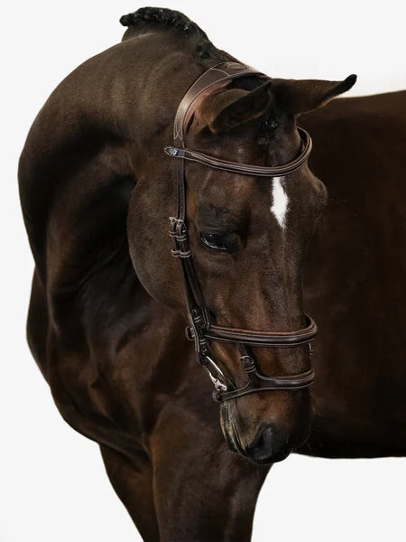 Bridle Paris