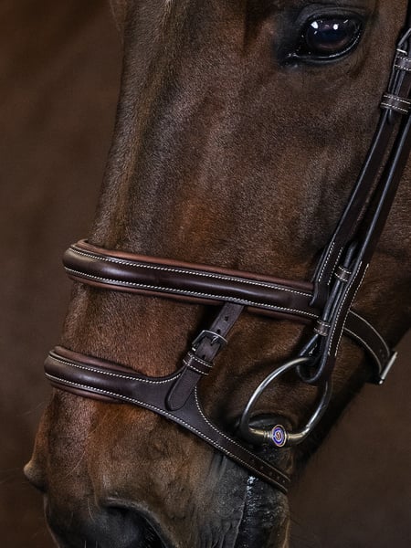 Bridle Paris