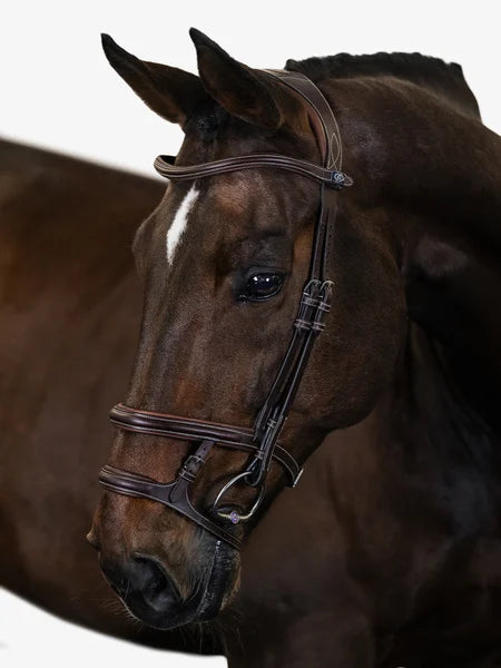 Bridle Paris