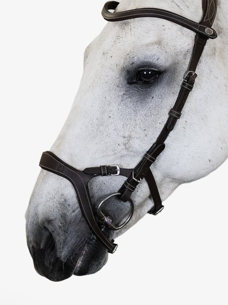 Bridle Nirak