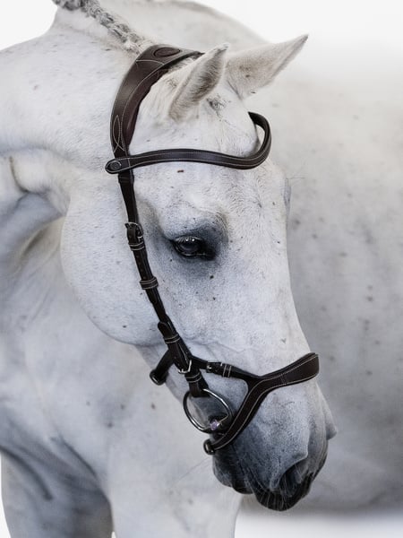Bridle Nirak
