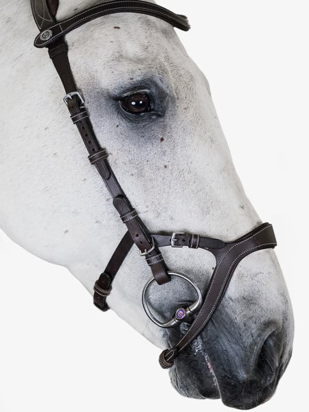 Bridle Nirak
