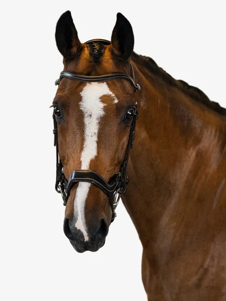 Bridle Pioneer