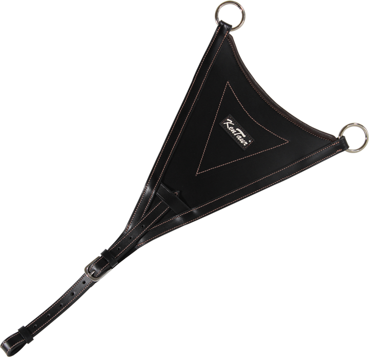 Bib martingale attachment