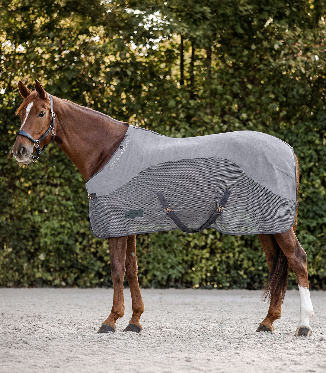 COMFORT Fleece Fly Rug