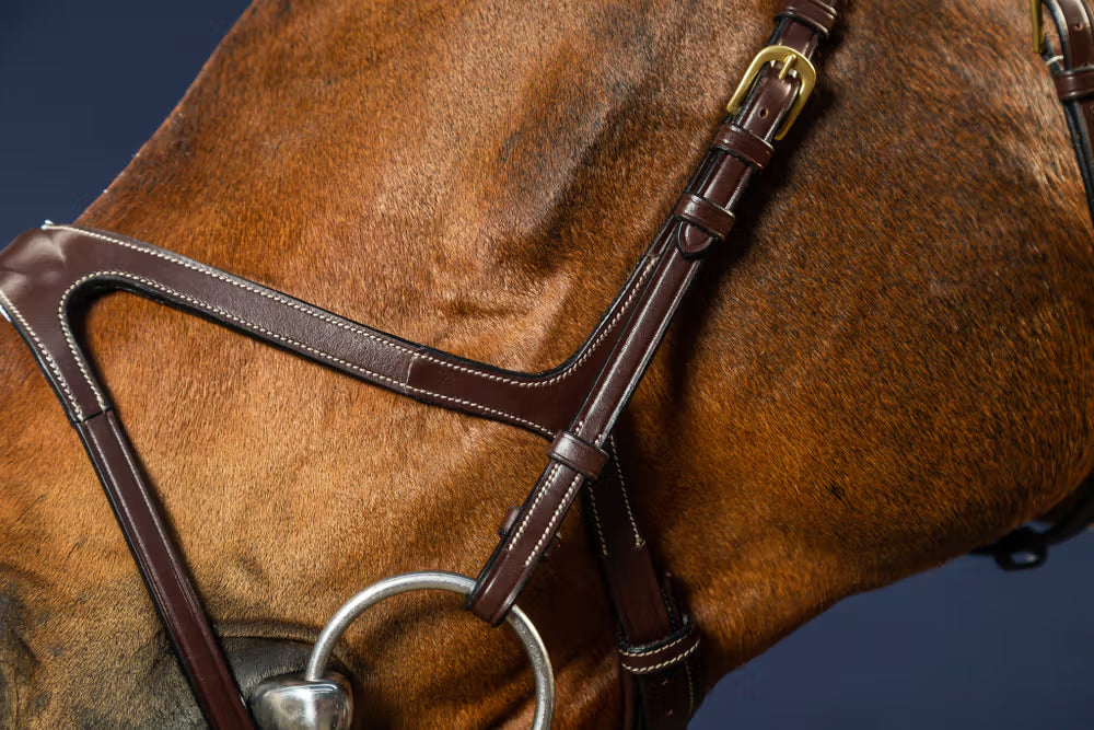 X-Fit Bridle
