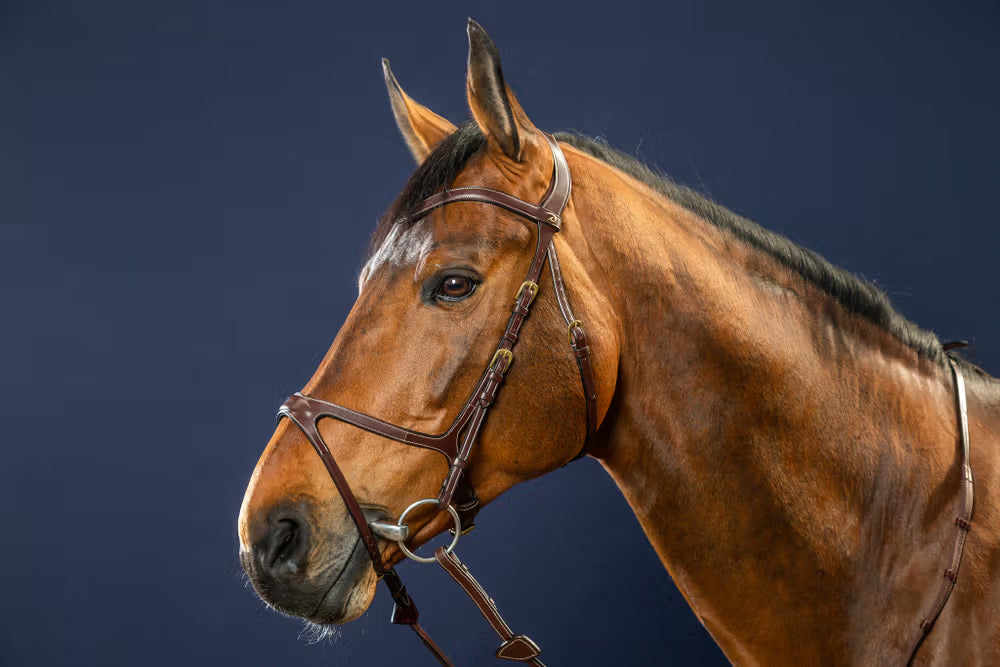 X-Fit Bridle