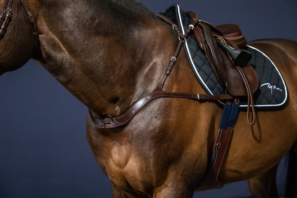 Anatomical Breastplate