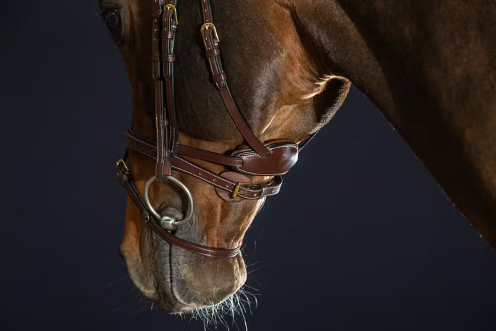 "Difference" Bridle