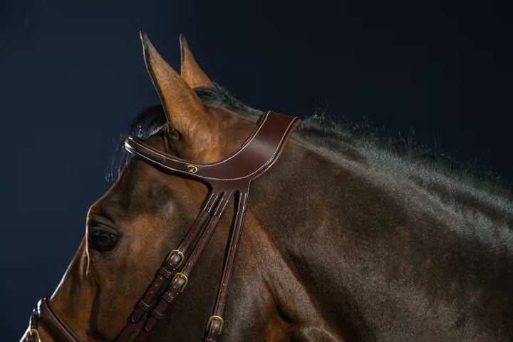 "Difference" Bridle