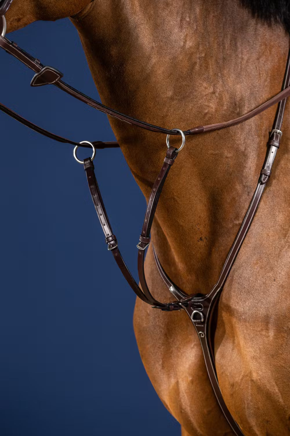 Running Martingale Attachment