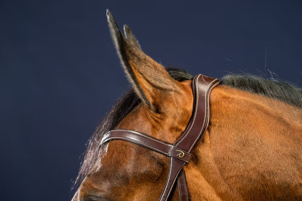 X-Fit Bridle