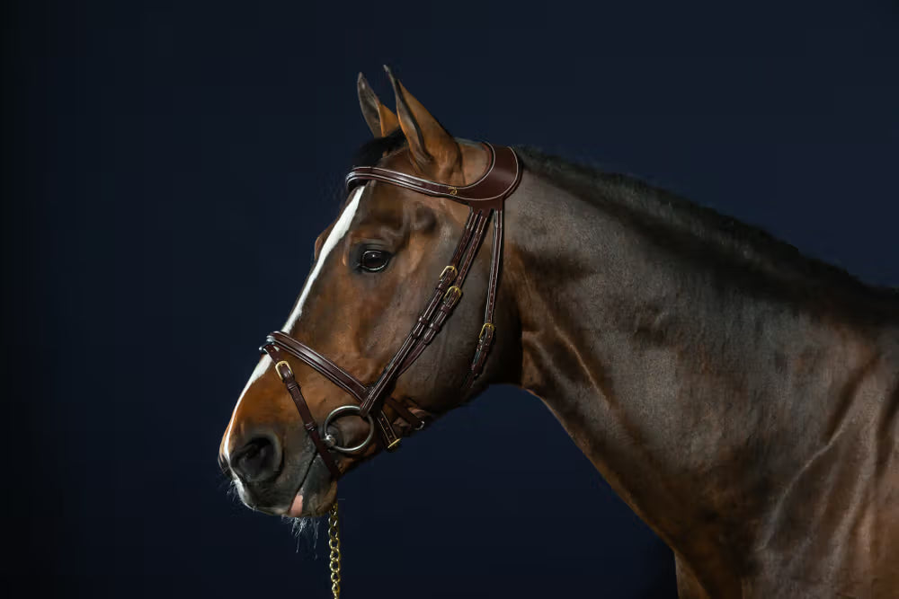 "Difference" Bridle