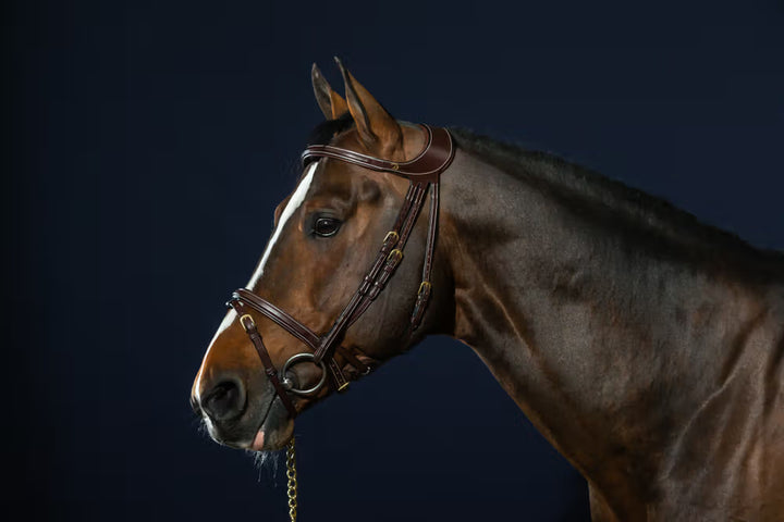 "Difference" Bridle