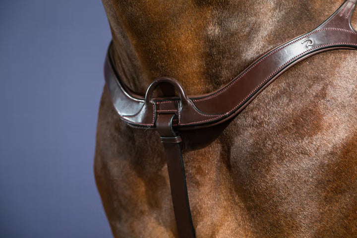 Anatomical Breastplate