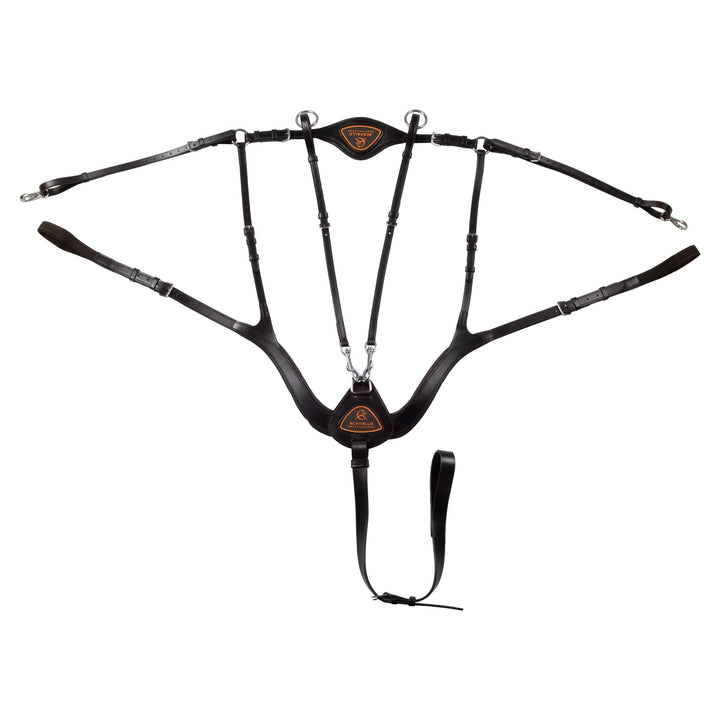 Anatomical 5-point breastplate
