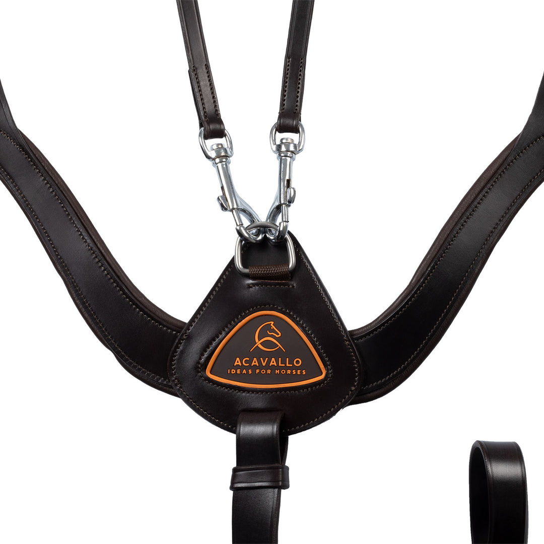 Anatomical 5-point breastplate